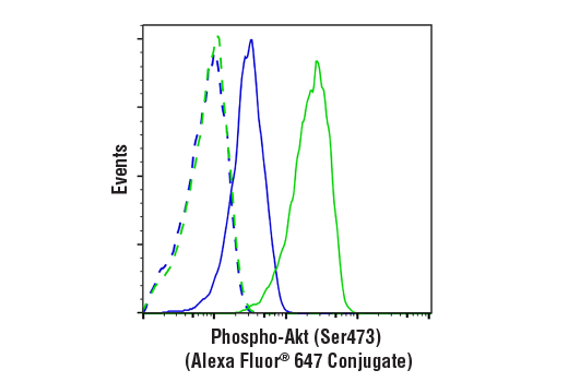 Phospho-Akt (Ser473) (D9E) XP Rabbit mAb (Alexa Fluor 647 Conjugate)