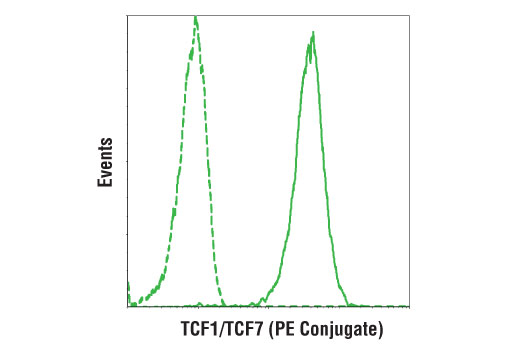 TCF1/TCF7 (C63D9) Rabbit mAb (PE Conjugate)