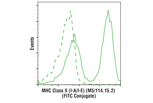 MHC Class II (I-A/I-E) (M5/114.15.2) Rat mAb (FITC Conjugate)