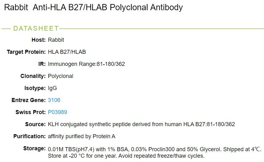 人类白细胞抗原B27抗体