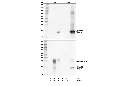 Cleaved-IL-1β (Asp117) (E7V2A) Rabbit mAb (Mouse Specific)