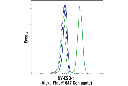 NY-ESO-1 (D1Q2U) Rabbit mAb (Alexa Fluor 647 Conjugate)